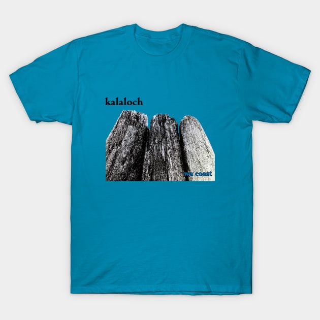 Kalaloch 2 T-Shirt by amigaboy